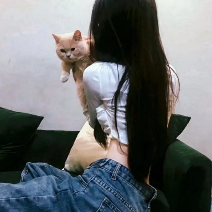 你是骗子我是贼